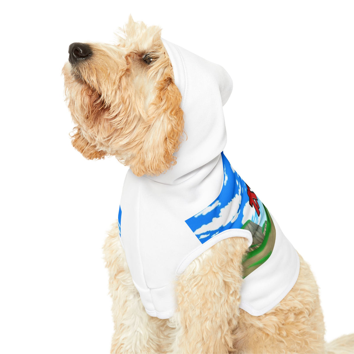 Animang Gang Pet Hoodie! Dog Sweater, Cat Jacket, Pet Apparel, Animal Clothing, Perfect Gift for Pet Lovers