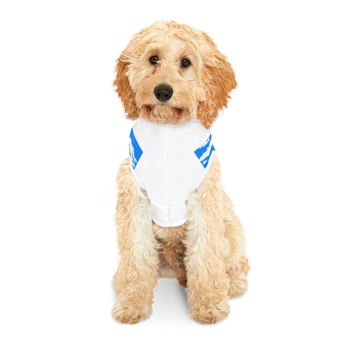 Animang Gang Pet Hoodie! Dog Sweater, Cat Jacket, Pet Apparel, Animal Clothing, Perfect Gift for Pet Lovers